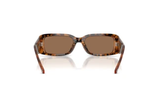 Bagside Diesel DL2017U (205073)