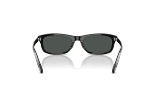 Bagside Diesel DL2018U (200187)