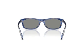 Bagside Diesel DL2018U (203787)