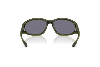 Bagside Diesel DL3002 (511/J2)