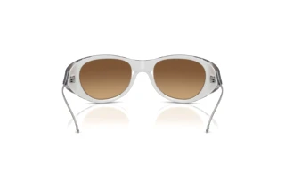 Bagside Diesel DL3003 (507/B8)