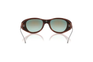 Bagside Diesel DL3003 (508/B6)