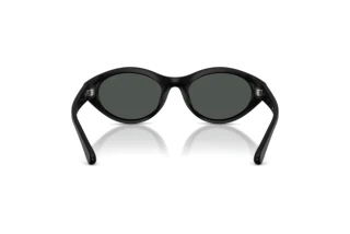 Bagside Diesel DL3005U (200287)