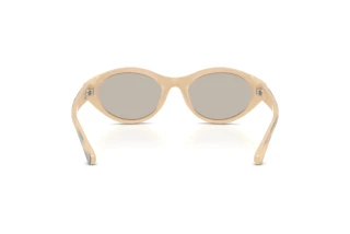 Bagside Diesel DL3005U (2008/3)