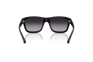 Bagside Diesel DL3006U (20018G)