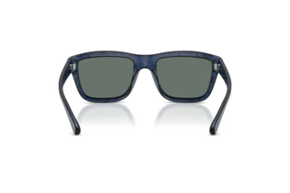 Bagside Diesel DL3006U (201425)