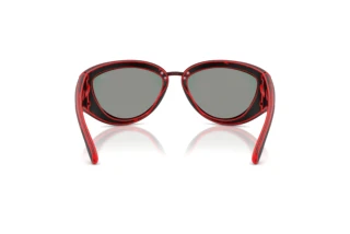 Bagside Diesel DL3007U (20096P)