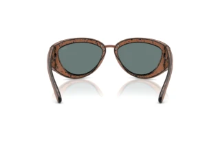 Bagside Diesel DL3007U (20114Z)