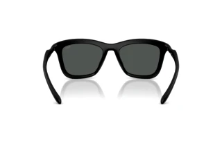 Bagside Diesel DL3008U (200287)