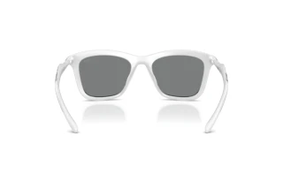 Bagside Diesel DL3008U (202987)