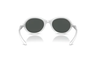 Bagside Diesel DL3009U (202987)