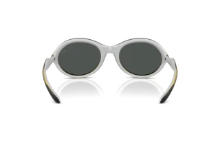 Bagside Diesel DL3009U (203087)