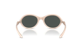 Bagside Diesel DL3009U (203487)