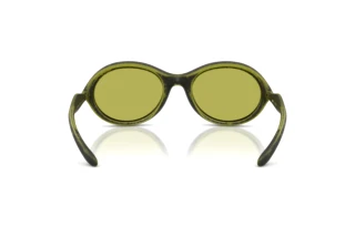 Bagside Diesel DL3009U (511/2)