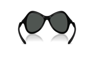 Bagside Diesel DL3010U (200287)