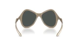 Bagside Diesel DL3010U (203587)