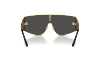 Bagside Dolce & Gabbana DG2305 (02/87)