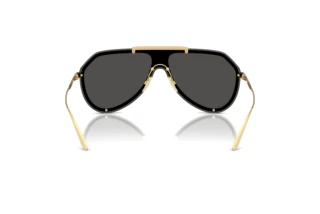 Bagside Dolce & Gabbana DG2309 (02/87)