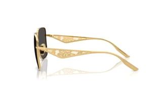 Sidevisning Dolce & Gabbana DG2310 (02/87)