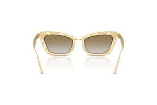 Bagside Dolce & Gabbana DG2311 (12246E)