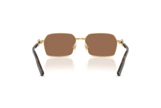 Bagside Dolce & Gabbana DG2316 (02/73)