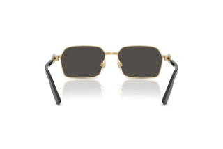 Bagside Dolce & Gabbana DG2316 (02/87)