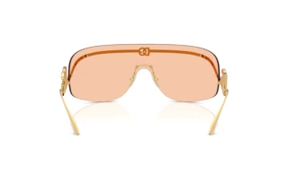 Bagside Dolce & Gabbana DG2320 (02/73)