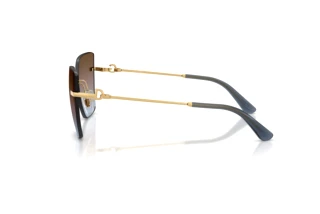 Sidevisning Dolce & Gabbana DG2321 (02/48)