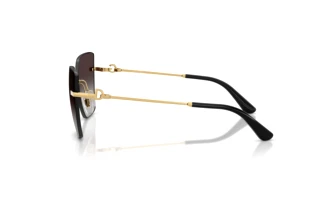 Sidevisning Dolce & Gabbana DG2321 (02/8G)