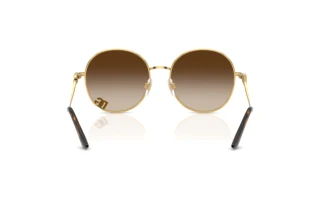 Bagside Dolce & Gabbana DG2324 (02/13)