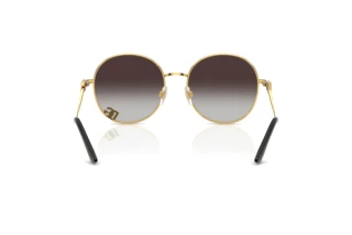 Bagside Dolce & Gabbana DG2324 (02/8G)