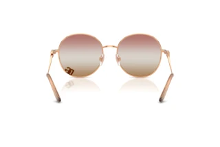 Bagside Dolce & Gabbana DG2324 (1298EL)