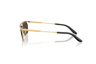 Sidevisning Dolce & Gabbana DG2327 (131387)