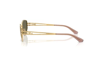 Sidevisning Dolce & Gabbana DG2338 (02/03)