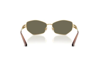 Bagside Dolce & Gabbana DG2338 (02/03)