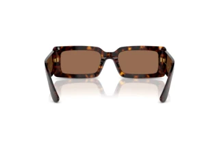 Bagside Dolce & Gabbana DG4416 (193573)