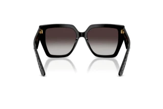 Bagside Dolce & Gabbana DG4438 (32888G)