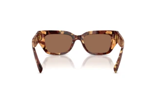 Bagside Dolce & Gabbana DG4462 (346273)