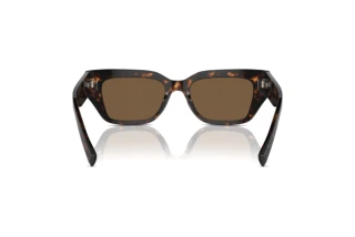 Bagside Dolce & Gabbana DG4462 (502/73)