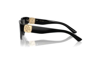 Sidevisning Dolce & Gabbana DG4469 (501/87)