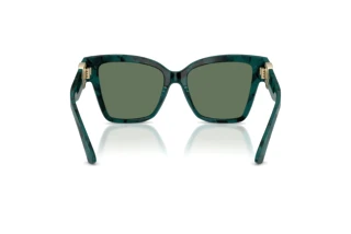 Bagside Dolce & Gabbana DG4470 (3460/2)