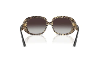 Bagside Dolce & Gabbana DG4476 (32998G)