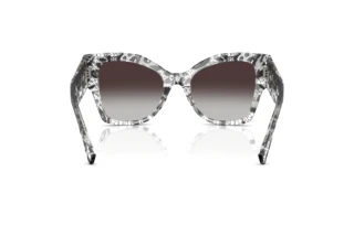 Bagside Dolce & Gabbana DG4478 (32878G)