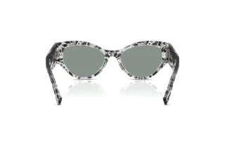 Bagside Dolce & Gabbana DG4480 (3287/1)