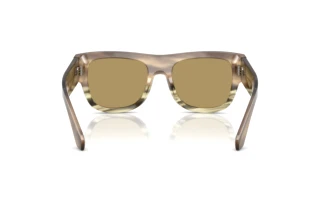 Bagside Dolce & Gabbana DG4484 (3439/2)