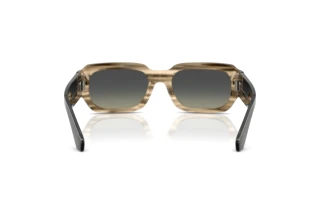 Bagside Dolce & Gabbana DG4485 (348411)