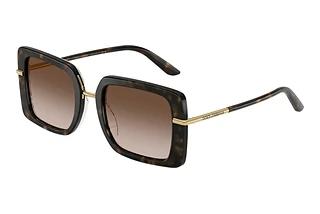 Dolce & Gabbana DG4491 321713 Brown GradientHavana On White Barrow