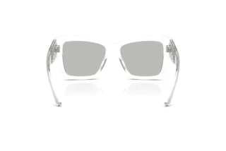 Bagside Dolce & Gabbana DG4493 (31338V)