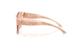 Sidevisning Dolce & Gabbana DG4493 (314884)