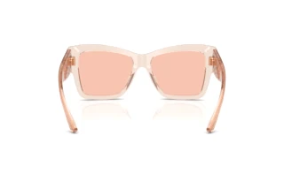 Bagside Dolce & Gabbana DG4493 (314884)